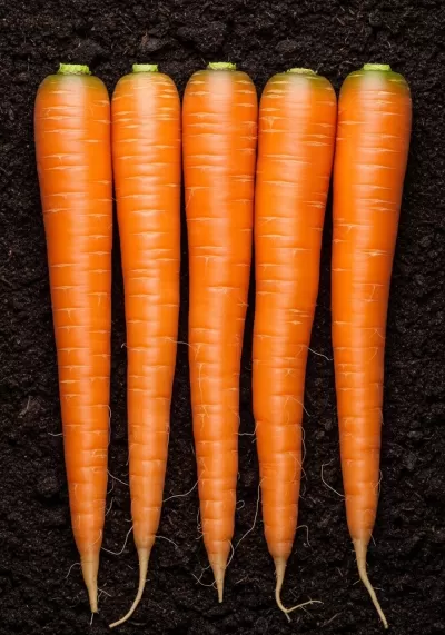 Imagen PNG para descargar